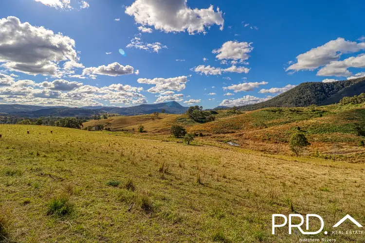Seventh view of Homely rural property listing, Lot 30, 46 Lynches Creek Road, Wiangaree NSW 2474