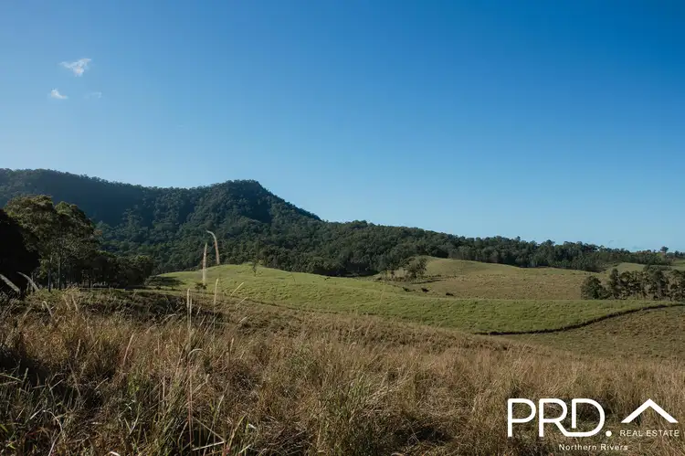 Second view of Homely rural property listing, Lot 27, 46 Lynches Creek Road, Wiangaree NSW 2474