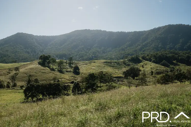 Fourth view of Homely rural property listing, Lot 27, 46 Lynches Creek Road, Wiangaree NSW 2474