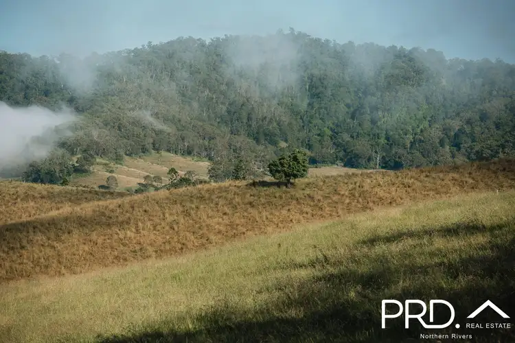 Fifth view of Homely rural property listing, Lot 27, 46 Lynches Creek Road, Wiangaree NSW 2474