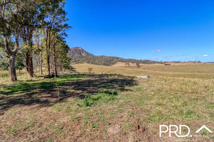 Sixth view of Homely rural property listing, Lot 27, 46 Lynches Creek Road, Wiangaree NSW 2474