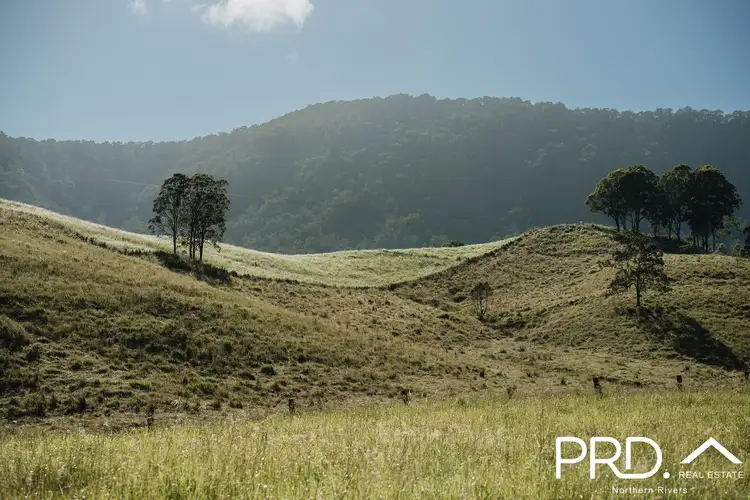 Main view of Homely rural property listing, Lot 28, 46 Lynches Creek Road, Wiangaree NSW 2474