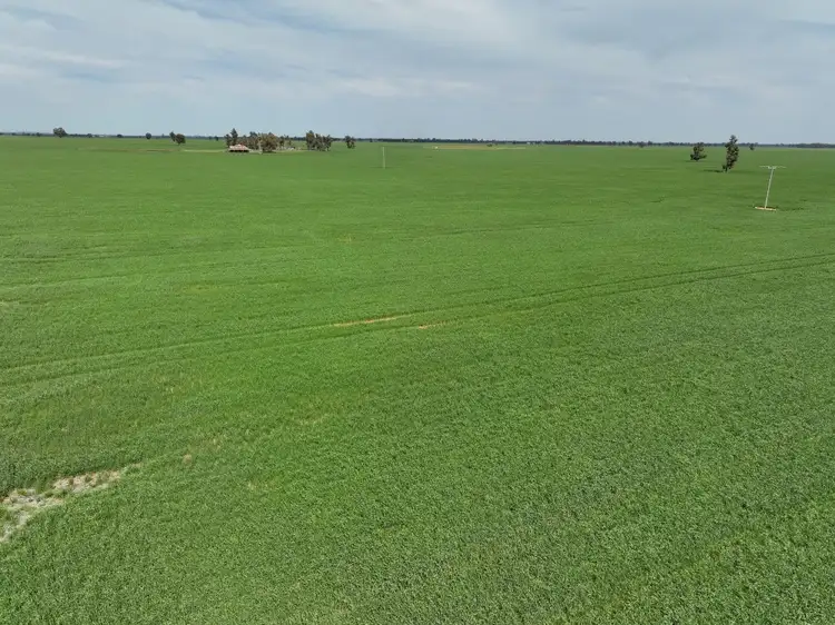 Third view of Homely rural property listing, 849 Brushwood North Rd, Coolamon NSW 2701