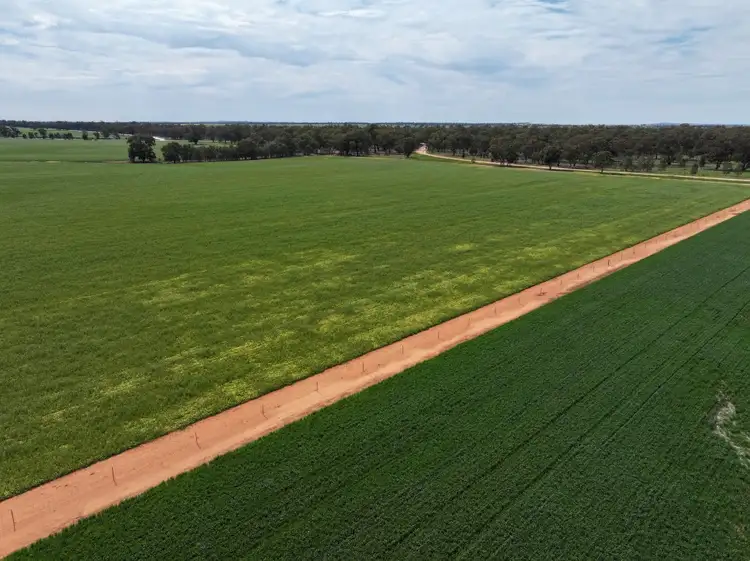 Fourth view of Homely rural property listing, 849 Brushwood North Rd, Coolamon NSW 2701