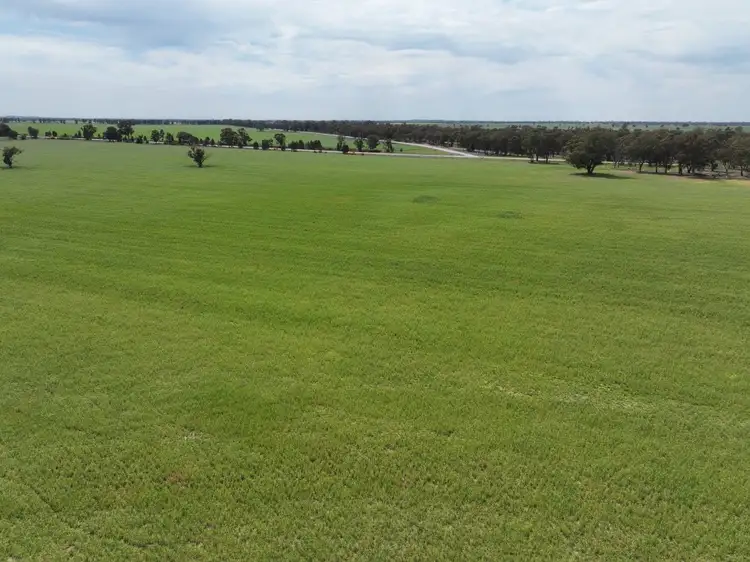Fifth view of Homely rural property listing, 849 Brushwood North Rd, Coolamon NSW 2701