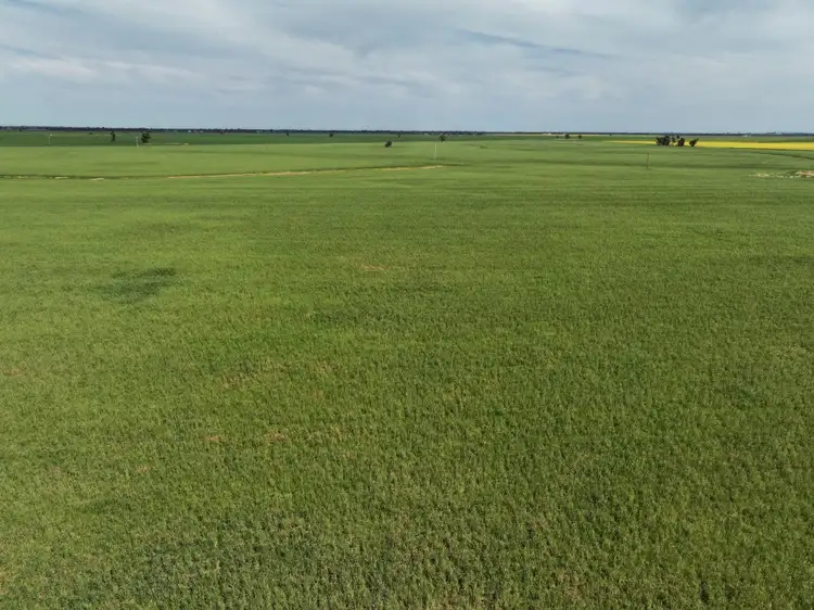 Sixth view of Homely rural property listing, 849 Brushwood North Rd, Coolamon NSW 2701