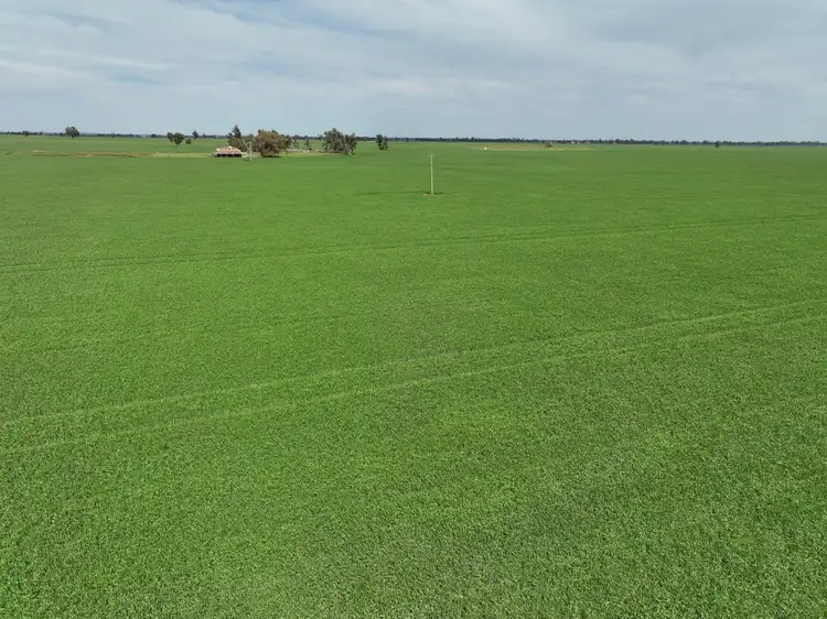 Seventh view of Homely rural property listing, 849 Brushwood North Rd, Coolamon NSW 2701