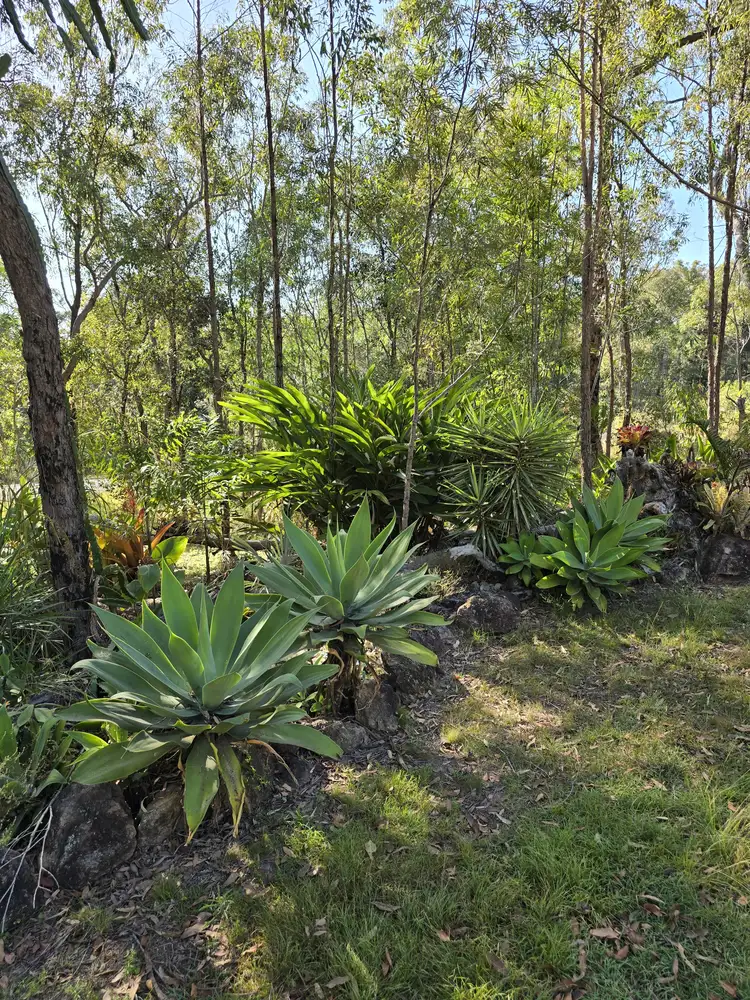 Fifth view of Homely land listing, 151 Baldaw Road, Captain Creek QLD 4677