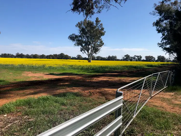 Main view of Homely rural property listing, Lot 155 DP750852 Burley Griffin Way, Ariah Park NSW 2665