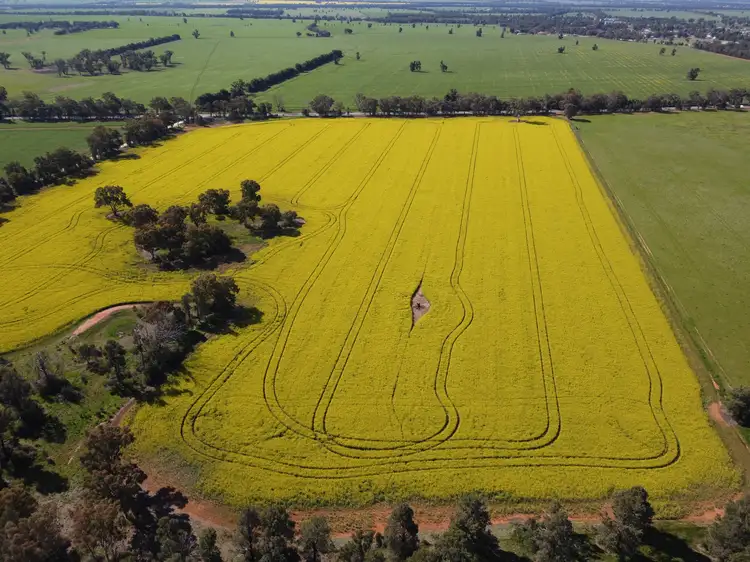 Third view of Homely rural property listing, Lot 155 DP750852 Burley Griffin Way, Ariah Park NSW 2665