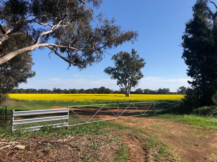 Fourth view of Homely rural property listing, Lot 155 DP750852 Burley Griffin Way, Ariah Park NSW 2665