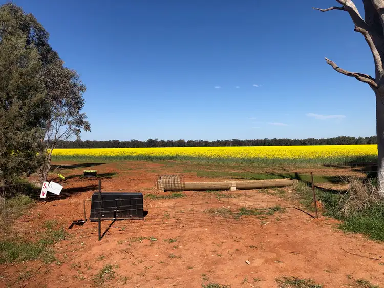 Fifth view of Homely rural property listing, Lot 155 DP750852 Burley Griffin Way, Ariah Park NSW 2665