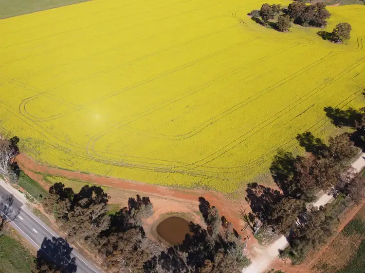 Sixth view of Homely rural property listing, Lot 155 DP750852 Burley Griffin Way, Ariah Park NSW 2665