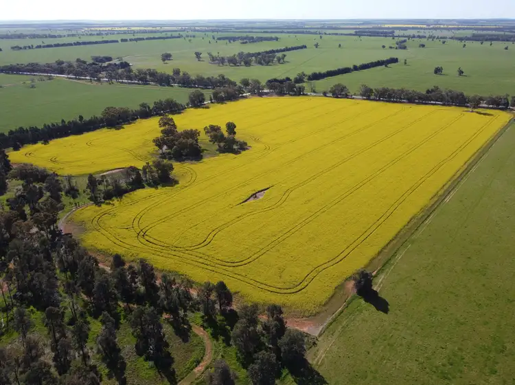 Seventh view of Homely rural property listing, Lot 155 DP750852 Burley Griffin Way, Ariah Park NSW 2665