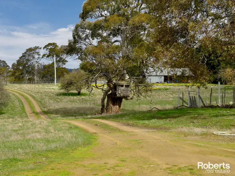 Fifth view of Homely house listing, 215 Rockmount Road, Ellendale TAS 7140