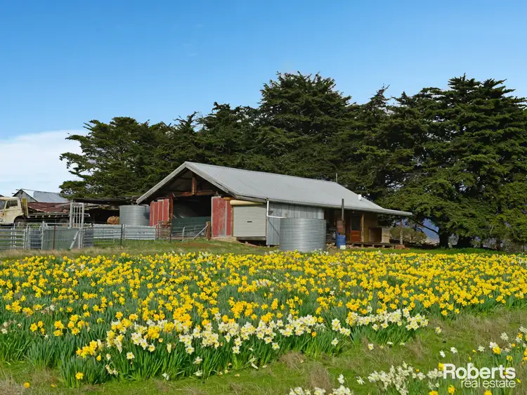 Sixth view of Homely house listing, 215 Rockmount Road, Ellendale TAS 7140