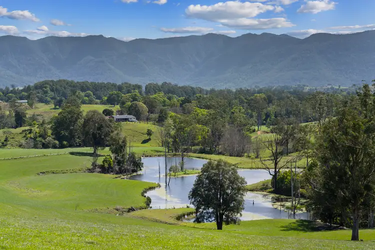 703 Brays Creek Road, Brays Creek NSW 2484