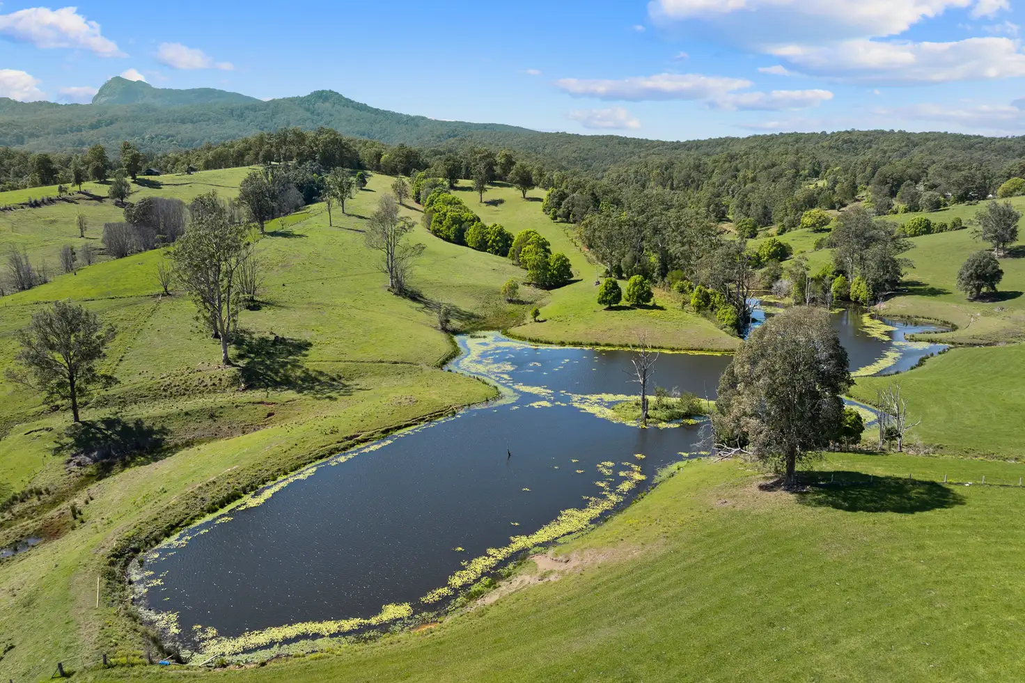 Main view of Homely rural property listing, 703 Brays Creek Road, Brays Creek NSW 2484