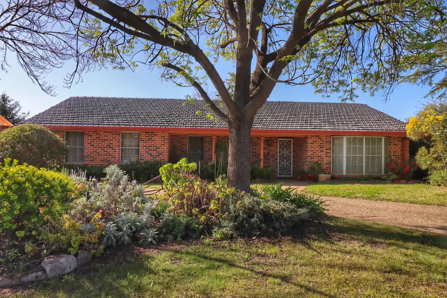 Main view of Homely house listing, 19 Taronga Drive, Cowra NSW 2794