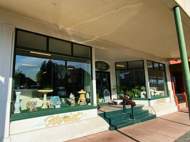 125 Wallace Street, Braidwood NSW 2622