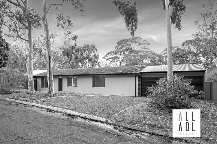 41 Marsha Drive, Banksia Park SA 5091