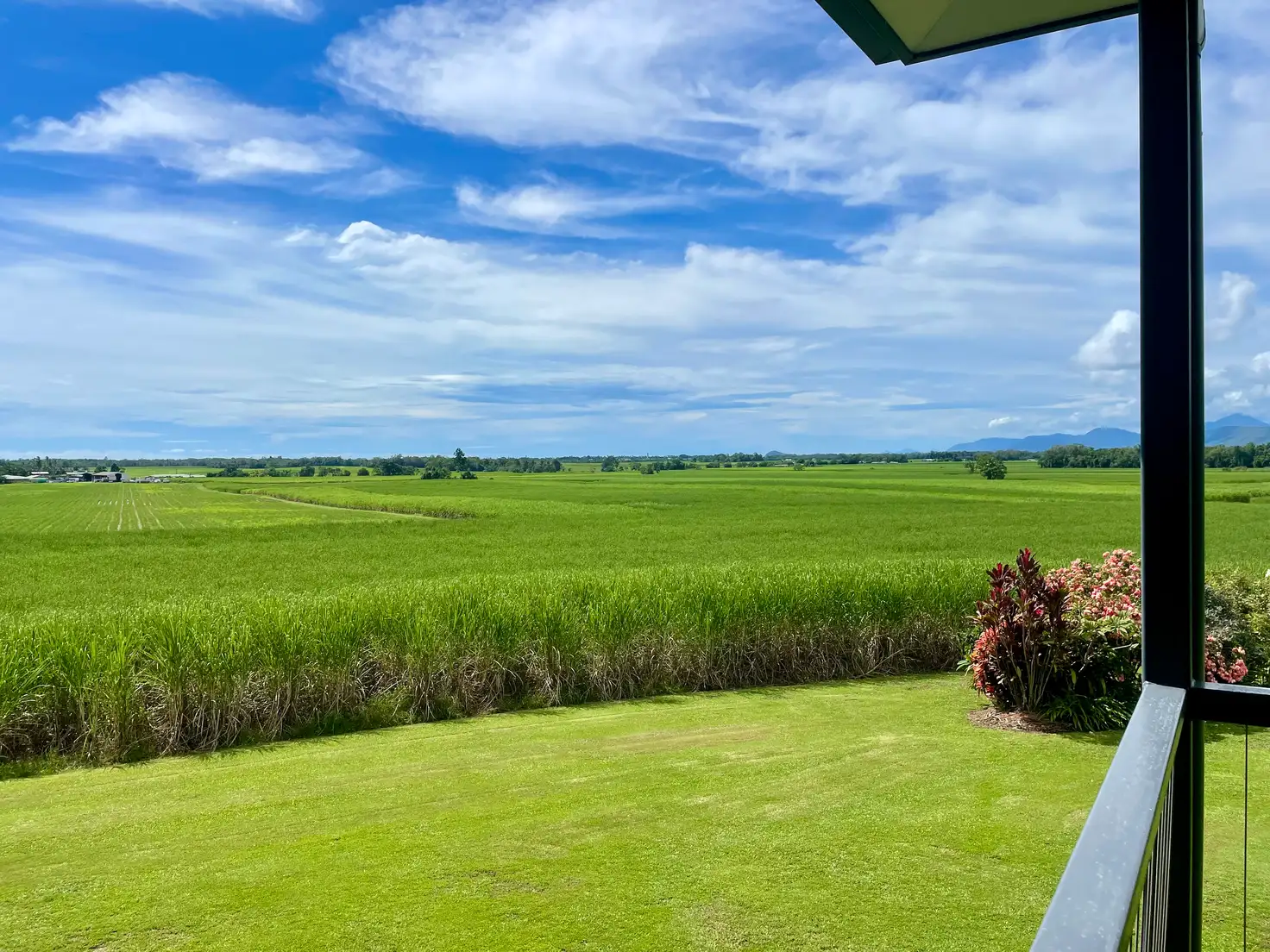 Main view of Homely house listing, 87 Schilds Road, Miallo, Mossman QLD 4873