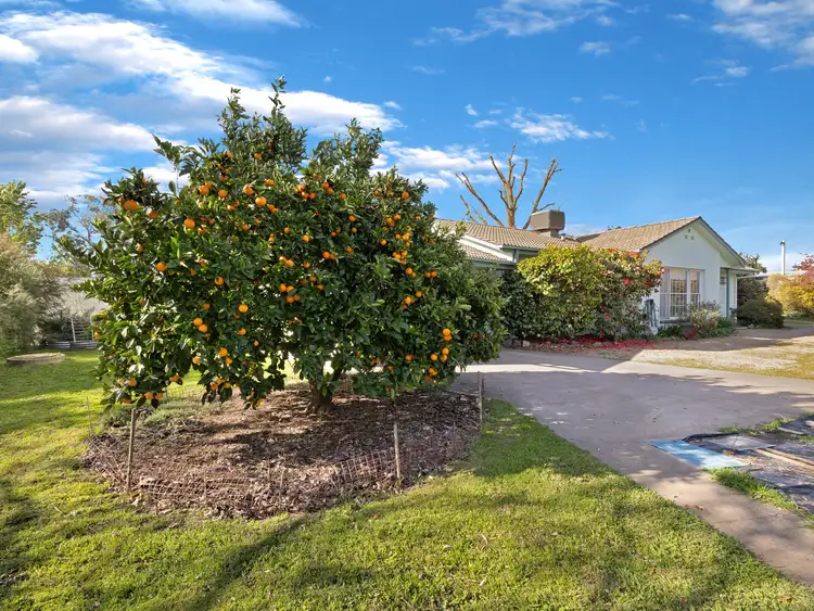 29 Arundel Street North, Benalla VIC 3672
