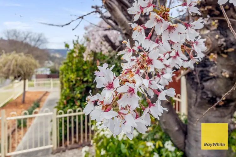 Fifth view of Homely house listing, 12 Busby Street, Lithgow NSW 2790