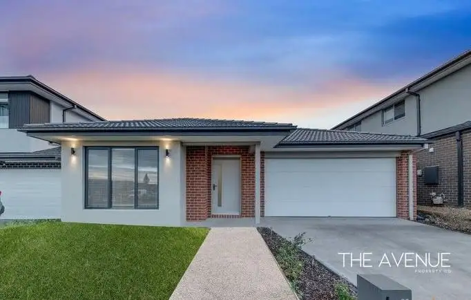 11 Mandevilla Street