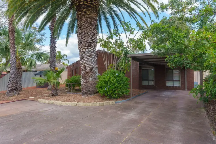 38 Thorburn Avenue, Beechboro WA 6063