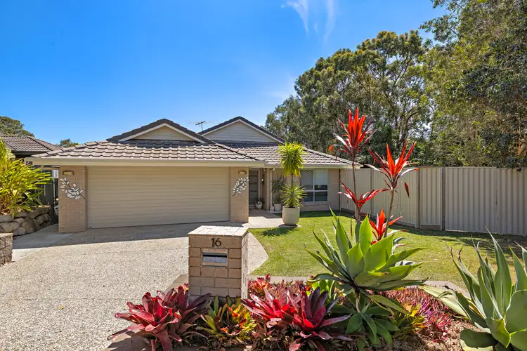 16 Amalia Street, Birkdale QLD 4159