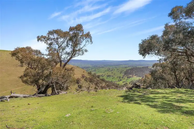 Third view of Homely land listing, 837 Argalong Road, Argalong NSW 2720