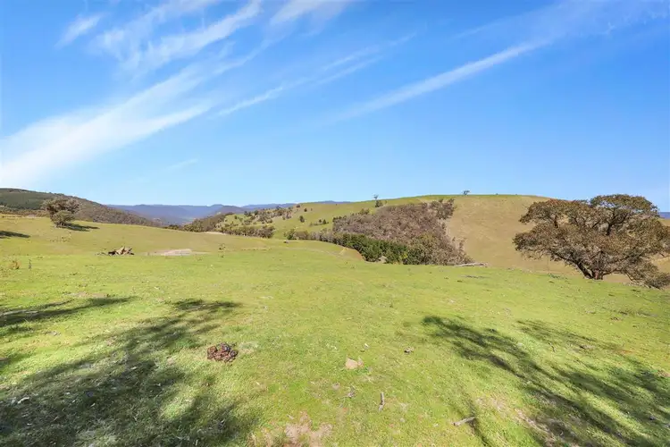 Fourth view of Homely land listing, 837 Argalong Road, Argalong NSW 2720