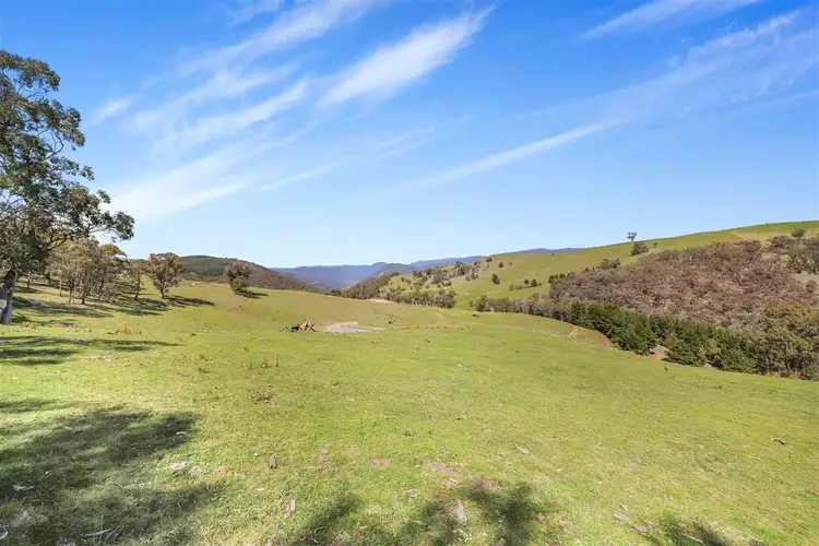 Sixth view of Homely land listing, 837 Argalong Road, Argalong NSW 2720