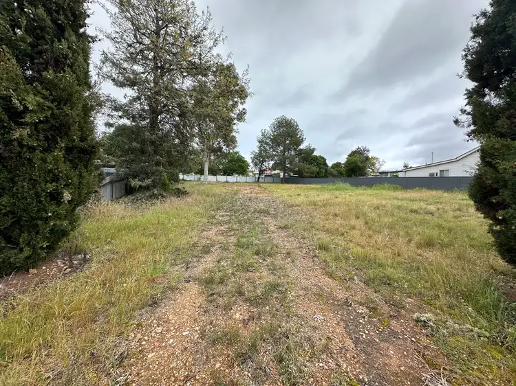 24 Coleman Road, Parkes NSW 2870