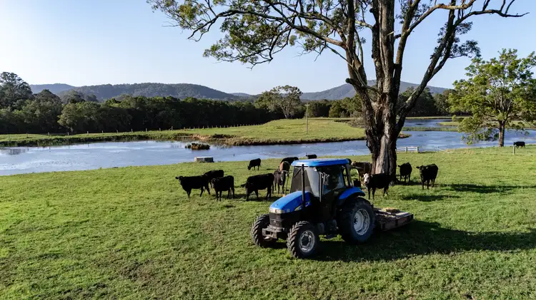 238 Dargavilles Road, Nabiac NSW 2312