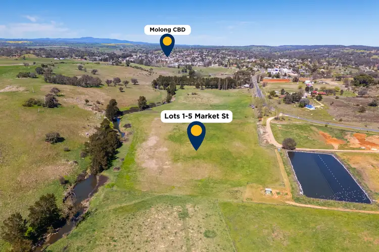 Seventh view of Homely land listing, Lot 1-5 Market Street, Molong NSW 2866