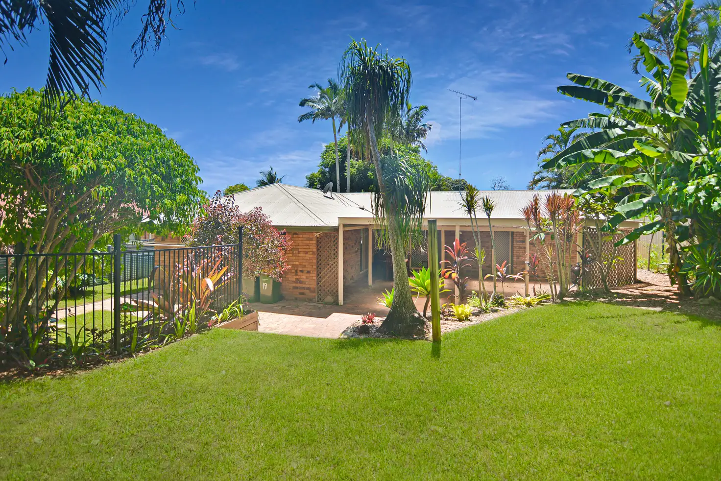 Main view of Homely house listing, 19 MIDDEN COURT, Bli Bli QLD 4560
