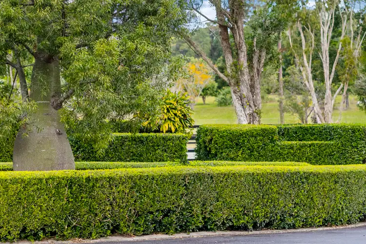 Sixth view of Homely rural property listing, 17 Ruffles Road, Willow Vale QLD 4209