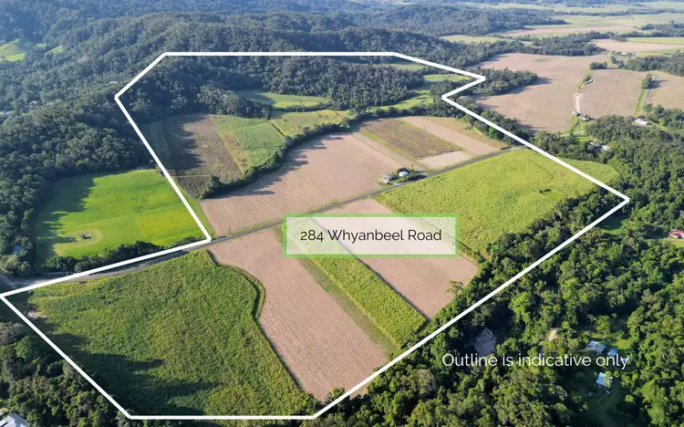 Second view of Homely house listing, 284 Whyanbeel Road, Whyanbeel, Mossman QLD 4873