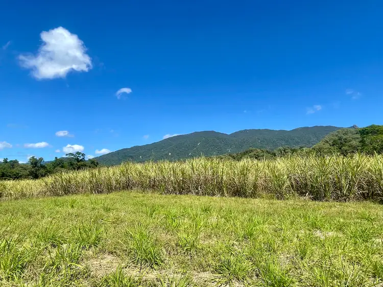 Fourth view of Homely house listing, 284 Whyanbeel Road, Whyanbeel, Mossman QLD 4873