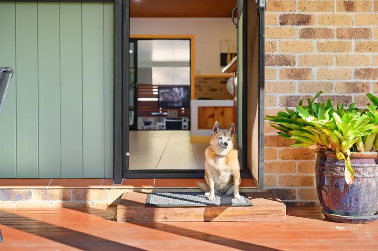 Fifth view of Homely rural property listing, 747 Beaudesert Nerang Road, Mount Nathan QLD 4211