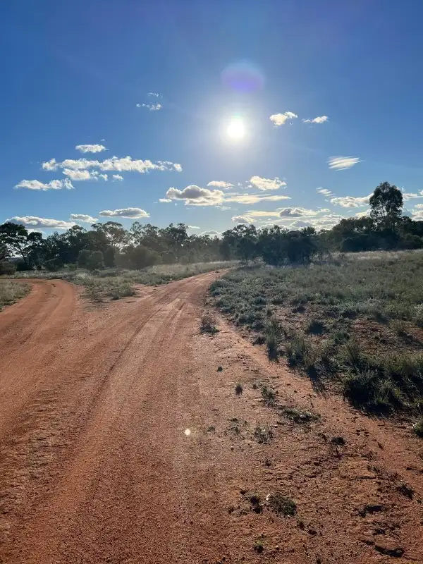 Main view of Homely rural property listing, 6432 Rosevale Rd, Nymagee NSW 2831
