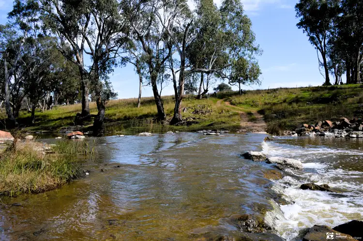 Main view of Homely rural property listing, The Springs Road, Benolong, Lot 25 in DP 753232, Yeoval NSW 2868