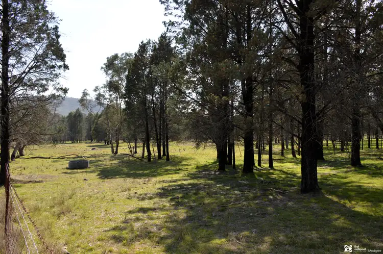 Fifth view of Homely rural property listing, The Springs Road, Benolong, Lot 25 in DP 753232, Yeoval NSW 2868