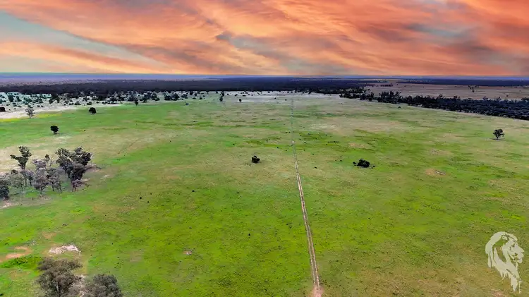 Main view of Homely rural property listing, 1857 Stumpy Lane, Wee Waa NSW 2388