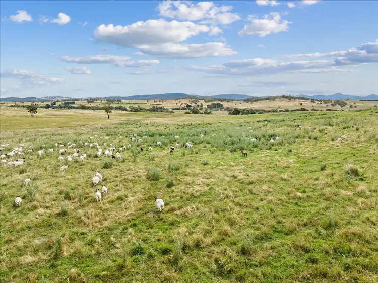 Sixth view of Homely rural property listing, 4436 Jerangle Road, Captains Flat NSW 2623