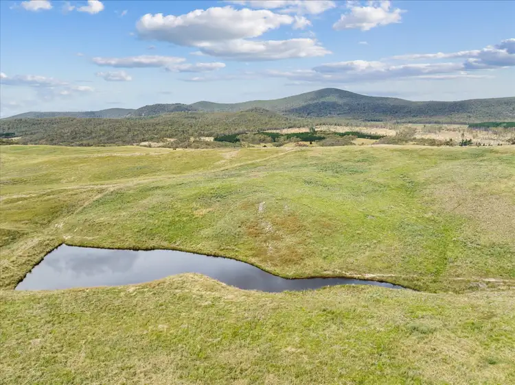 Seventh view of Homely rural property listing, 4436 Jerangle Road, Captains Flat NSW 2623