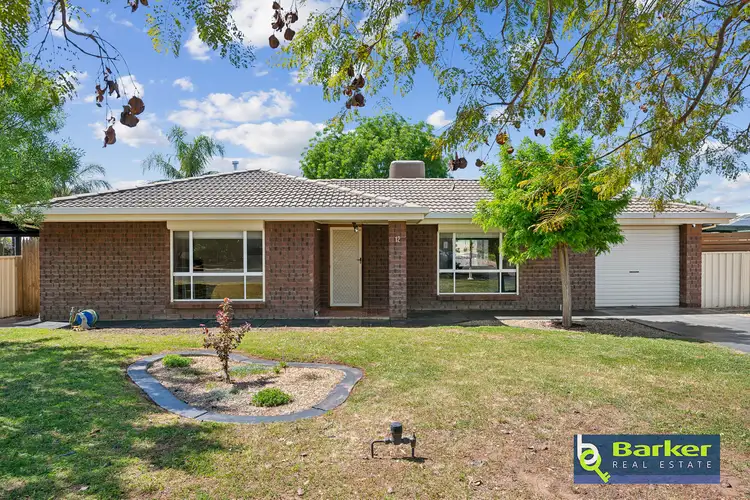 12 Kareda Street, Willaston SA 5118