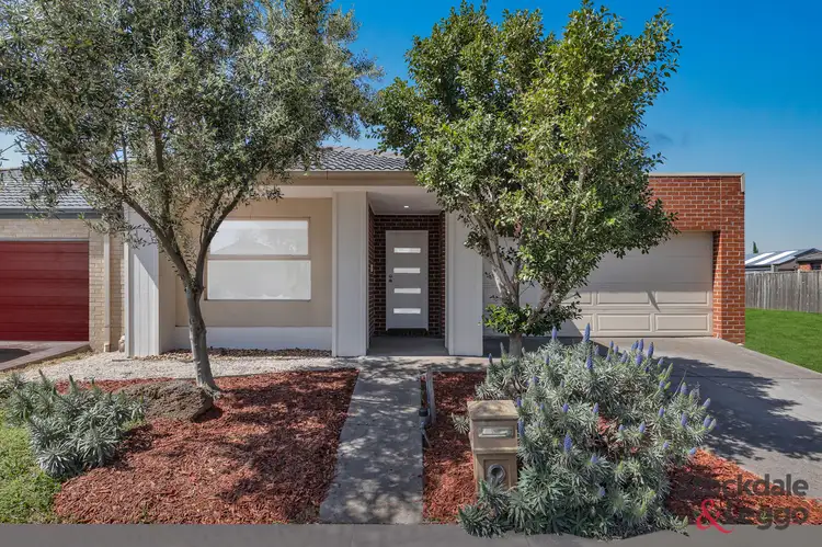 19 Woolybush Drive, Tarneit VIC 3029